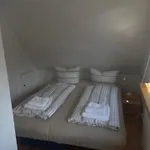 Moewennest *